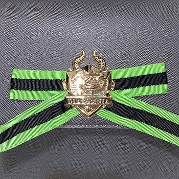 Amazon.co.jp: ツイステ ディアソムニア寮 エンブレムバッグ